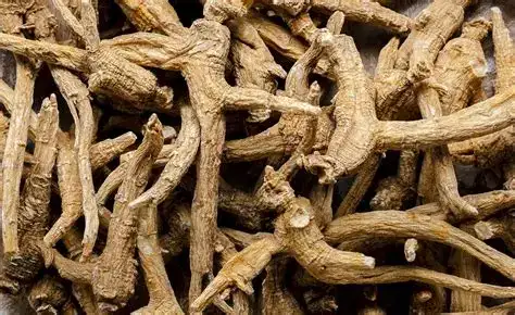 Siberian Ginseng Ingredient