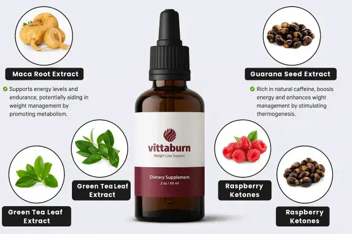 how vittaburn works metabolism process illustration